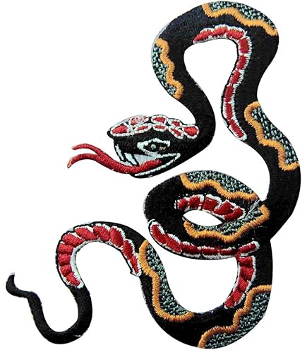 5PCS Toppe (Rock Band/Rock And Roll) Da Cucire, Termoadesive, Patch Da Ricamo Di Ferro Applicazioni Per Vestiti, Jeans, Giubbotti, Zaini - Foto 5