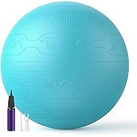 PROIRON Palla Fitness con Pattern di Pose, Fitball 55 cm 65 cm 75 cm con Pompa, Palla per Pilates, Esercizi, Ginnastica e Yog