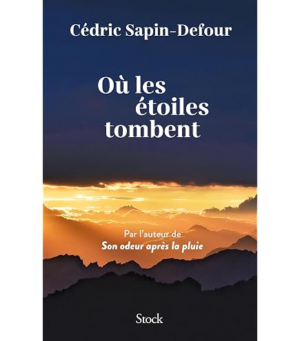 Quo Vadis - Agenda 16 mois - 2025-2026 - Affaires SD