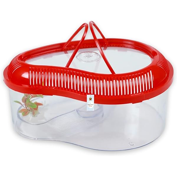 Beach Catch And Release Bowl Critter Keeper Ant Farm Cane Toad Trap ...