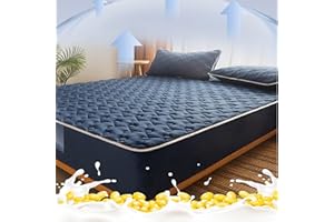 YUDEYU-CHUANGPIN YUDEYU Gesteppt Tagesdecke Verdicken Samtstoff aus Milch Warm halten Spannbettlaken Matratzenschoner Topper Spannbetttücher Bettlaken (Farbe : Blau, Größe : 90x200cm/high 5-26cm)