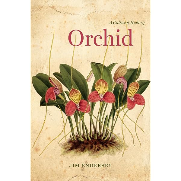 Buy Rhs Orchids: A History Through Botanical Illustration Book