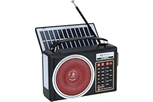 LYCHEE Radio Am/FM/SW Bluetooth Retro portátil y compacta con Panel Solar, iluminación LED portátil, batería Recargable, Reproductor MP3 Compatible con Tarjeta TF/USB (Rosa)