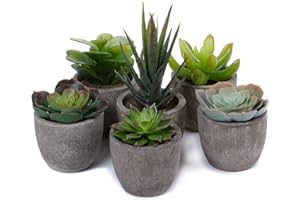 ‎T4U T4U 6er Set Klein Kunstpflanze Sukkulenten Künstlich Dekorative Kunstpflanzen wie echt Pflanzen mit Topf, Deko Fake Plant für Hochzeit Büro Zuhause Wohnung Wohnzimmer Badezimmer Dekoration
