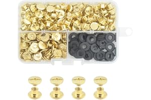 JINTANG 100pcs M5x4 remaches de tornillo,remaches para cuero,Tornillo Chicago Remache,Se utiliza para la artesanía de cuero DIY bolsa de ropa, zapatos, libros, y la decoración (de oro)