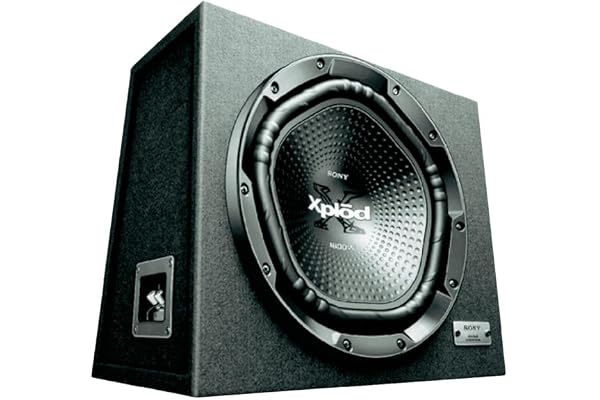 Car Enclosed Subwoofer Systems