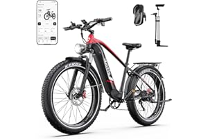 DUOTTS F26 Lite Bici Elettrica per Uomo Donna, MTB Elettrica 26 x 4,0 Pollici, Bike Elettrica 250W con Batteria 48V 18Ah Autonomia fino a 140 km, Doppio Freno Idraulico, 7 Marce e Doppia Sospensione