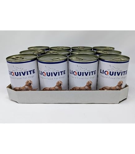 royal canin recovery liquid per cani e gatti 3x200 Recovery liquido dog and cat main image 1