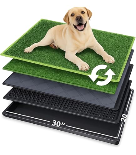 Wc Perros Caja De Arena Para Inodoro Para Perros, Valla Elevada