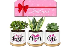 CAREIGN Mothers Day Best Gifts for Mum from Daughter Son, Mum Gifts Ceramic Plant Pots,Birthday Gifts for Mum Stepmum Wife,Presents for Mum on Mothers Day Christmas Birthday