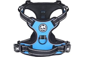 PoyPet No Pull Dog Harness, Reflective Vest Harness with 2 Leash Attachments and Easy Control Handle for Small Medium Large Dog(Blue,S)