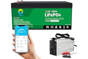 ‎PACPOW PacPow 12V 300Ah LiFePO4 Batterie Bluetooth mit 14,6V 20A Ladegerät, JBD 200A smart BMS Wohnmobil Boot Solaranlage Wohnwagen Solar Haushalt