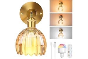 SERBASIC Vintage Battery Operated Wall Lights,Rechargeable Wall Light Indoor with Detachable Bulbs and Remote,3 Color Temperature&12RGB Wireless Wall Sconces for Living Room Bedroom Hallway