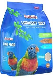 Versele-Laga Nutribird P15 Tropical Aliment d'entretien pour Oiseau 1 Versele-Laga Nutribird P15 Tropical Aliment d'entretien pour Oiseau 1