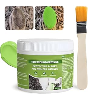 Trrau Pour Bonsaï - 5L Au Millur Prix