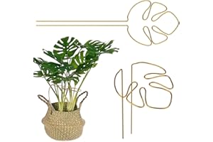 FEIONE Pflanzenstütze 2er Set Für Monstera Rankhilfe, Mit Einzigartigem Blattdesign Für Zimmerpflanzen, Rankhilfe Monstera, Pflanzen Stütze, Vielfältige Stängelstütze, Dekorative Unterstützung