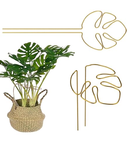 Pflanzensttze 4er Set Fr Monstera Rankhilfe, Mit Einzigartigem  Blattdesign Fr Zimmerpflanzen, Rankhilfe Monstera, Pflanzen Sttze,  Vielfltige Stngelsttze, Dekorative Untersttzung : Amazon.de: Garten