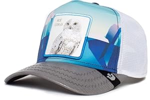 Goorin Bros. Czapka Trucker Cap CHILL OWLT Grey wielokolorowa