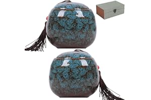 LYLQMY 2 urnas pequeñas para cenizas humanas, urnas de recuerdo para cenizas humanas o mascotas, mini urna conmemorativa de cerámica y almacenamiento de cenizas de entierro para familiares y seres queridos