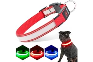 PZRLit Light Up Dog Collar Light Rechargeable, Fully Adjustable LED Dog Collar Waterproof, 3 Flashing Modes Glow Dark Dog Collars for Night Walking for Medium Large Dogs