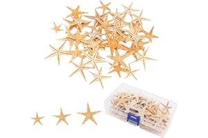 Xuigort 20 Stücke Seestern Deko, 3-5cm Muscheln Seestern Deko für Hochzeitsdekoration, Heimdekoration, Bastelprojekte und Strand-Themenparty Wohnkultur DIY Handwerk