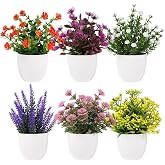 Nettenevime 6lı Set Yapay &Ccedil;i&ccedil;ek Beyaz Saksıda 6 &Ccedil;eşit Renkli &Ccedil;i&ccedil;ekler