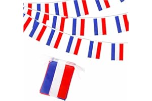 ZSYIULIA 10m Netherlands Flags Bunting Netherlands Bunting Olympic 2024 Decorations 30 Flags, Nederlanden Flags Bunting Banner for Olympic Games 2024 Sports Football Events Netherlands National Day Decorations