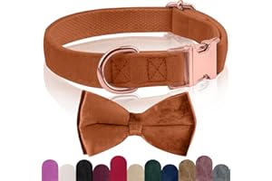 KTWSUEF Collare Cane Vellutato, con Papillon Cane Staccabile, Comodo Regolabile Collare Per Cani Vellutato, Per Cani di Taglia Piccola Media Grande, Matrimonio, Compleanno, Vacanze, ecc