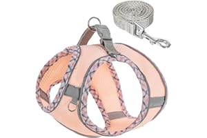 QYJINLIDA Dog Harness and Leash Set,Step-in Air Dog Vest, Reflective, No Pull Collarsfor Small, Medium Dogs, Cats - Secure with Hook & Loop Fastener, Buckle, Double D-Ring