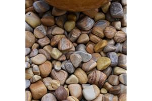 STRATA STONES Strata Rainbow Sandstone Pebbles For Home Office or Garden Decorative Gravels Aggregates Natural Tumbled Smooth Eco-Friendly Stones Mix Size Between 25-50MM (5 KG)