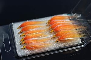 Tigofly Set di 12 esche da pesca a mosca, 6 colori brillanti, per salmone, trote, pesciolini, pesciolini