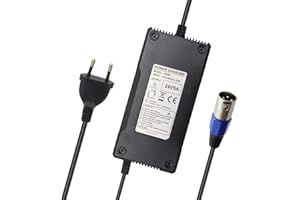 XIIXTOO Cargador de 24 V 5 A para baterías de Bicicleta Prophete, Aluminio Rex, City-Star, Aldi, Practicer, Habaumarkt Scooter eléctrico Bicicleta eléctrica para Silla de Ruedas de 3 Pines Conector XLR