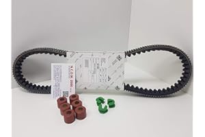 AER MOTO SPARE PARTS Kit de rouleaux de courroie de cheville d'origine pour Piaggio Beverly 250 300 2005 2006 2007 2008 2009 2010 2011 2012 2013 20014 2015 2016 2017 2018 2019