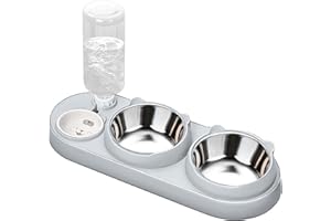 Marchul 3 in 1 Cat Bowl, Cat Food and Water Bowl Set with Water Dispenser and Stainless Steel Bowls, 15° Tilted Pet Raised Three Bowls for Indoor Cats, Small or Medium Sized Dogs