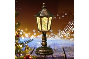 ‎LEONSHCO Christmas Snow Globe, Music Box, Warm White LED Light, Snow Globe with Music, Lantern Christmas, Snow Globe Christmas with Music, Snow Globe with Music Box, Battery Operated