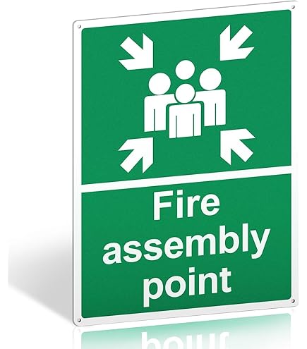 VSafety 31010AG-G The Nearest First Aid Box Is Situated First Aid General Sign, Glow In The Dark, 1 mm Plastic, Portrait, 100 mm x 150 mm, Green