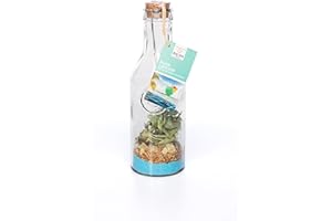 Mélange cocktail Blue lagoon en carafe