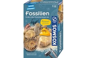 KOSMOS 657918 fossilutgrävningsset, gräva äkta steningar och bärnsten själv, med hammare och mejsel, experimentset för barn från 7 år