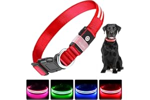PcEoTllar Collar LED USB Recargable y Impermeable para Perros - 3 Modos, Tamaño Ajustable, Seguridad Nocturna