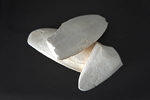 PARADISE PETS Broken Cuttlefish Pieces For Reptiles, Birds And Small Animals, 90-100G