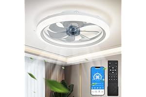 EKDADL Reversibile Ventilatore da Soffitto LED 50CM Dimmerabile Ventilatore a Soffitto con Luce 3 Colori 6 Velocità Silenzioso Lampadario con Ventilatore da Soffitto con Luce