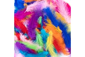 GLAITC Plumas de colores,300 piezas de plumas para manualidades, plumas llamativas,plumas para manualidades naturales,plumas de ganso para atrapasueños,bodas,fiesta de cumpleaños, decoraciones (10 Colors)