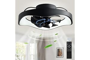 Depuley Modern Ceiling Fan, Flush Mount Ceiling Fans with Lights and Remote, Dimmable 6 Speeds Adjustment Timing, Fan Light for Bedroom,Kitchen, 360 Degree Rotation,Black, 20 Inch