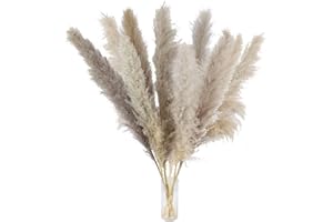 LIPJISL 10 Pcs 115cm Getrocknete Pampasgras Pflanzen Natürliche Getrocknet Pflanzen Deko Groß Pampasgras Trockenblumen Deko für Fotografie Hochzeit Party Hause Vase Dekoration Grau