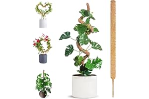HuiPoLii 1 x 70 cm Coir Monstera Trellis, Bendable Monstera Trellis, DIY Shape, Use Trellis Indoor Plants, Trellis Aid, Moss Stick