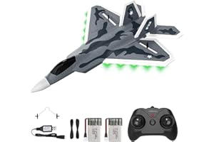 DEERC 2CH F22 Avion télécommandé Raptor avec lumières, avion de chasse télécommandé, planeur RTF à stabilisateur gyroscopique 6 axes 2,4 GHz, avec 2 batteries, facile à piloter pour enfants, débutants