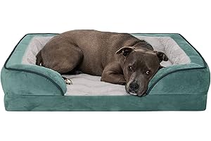 Furhaven Large Orthopedic Dog Bed Perfect Comfort Plush & Velvet Waves Sofa-Style w/Removable Washable Cover - Celadon Green, Large