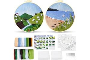 DRIFLO 2Pcs Needle Felting Kit for Beginners Needle Felting Starter Tools for Kids and Adults Wool Felt Supplies with Various Accessories Felt Set for DIY Handcraft Wool with Instructions (Green Series)