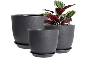 PROFIKLA 30cm, 25cm,23cm Plastic Plant Pots, Pack of 3 Planters, Large Plant Pots with Drainage Holes and Saucers, Modern Decorative Flower Pots, Black