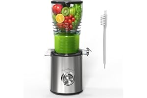 LINTERNGO Entsafter Slow Juicer für Gemüse und Obst, 148 mm Öffnung und 2L Füllvolumen, Geeignet für das Frühstück, gesunde Ernährung und Familienfeiern